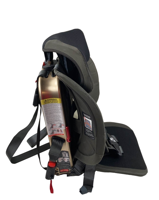 Shop WAYB Pico Portable Car Seat, 2020, Earth at Goodbuygears