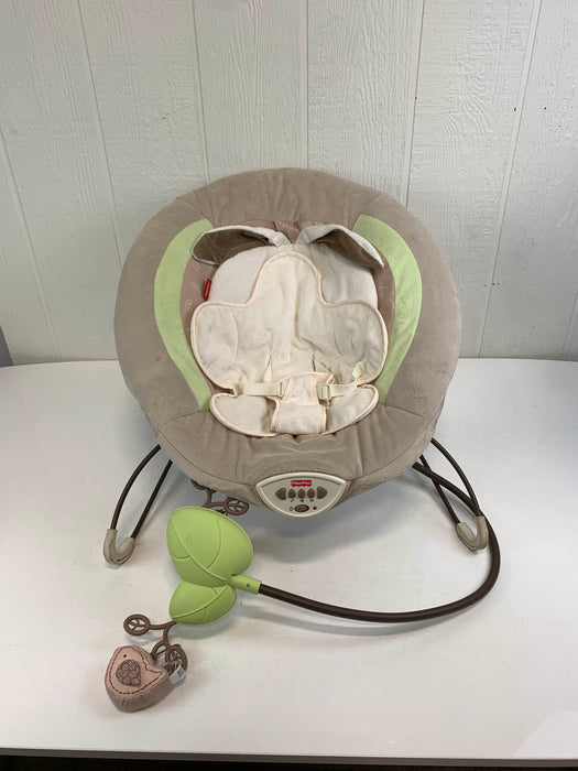 used Fisher Price Deluxe Bouncer
