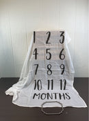 Shop Milestone Blanket at Goodbuygears