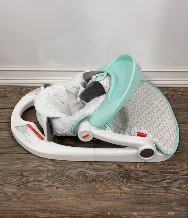 Shop Fisher Price Premium Sit-Me-Up Floor Seat with Tray at Goodbuygears