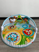 used Skip Hop Explore And More Amazing Arch Activity Gym