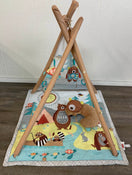secondhand Skip Hop Camping Cubs Activity Gym