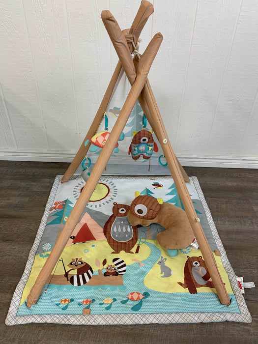 secondhand Skip Hop Camping Cubs Activity Gym