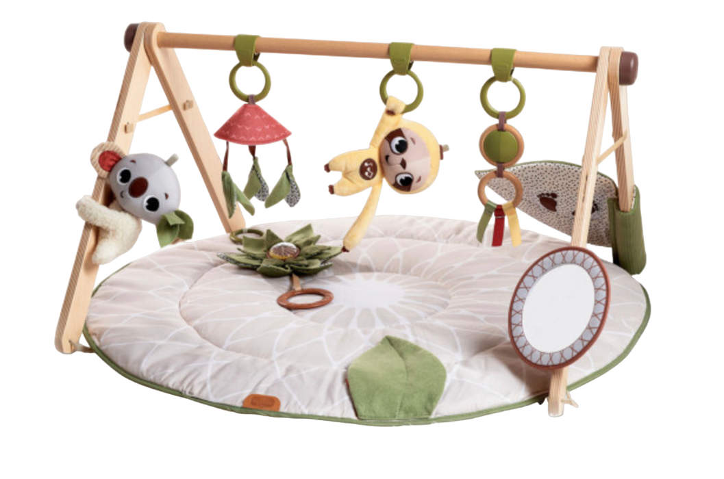 Shop Tiny Love Boho Chic Luxe Developmental Gymini at Goodbuygears