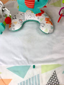 used Gyms Playmats