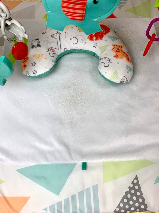 used Gyms Playmats