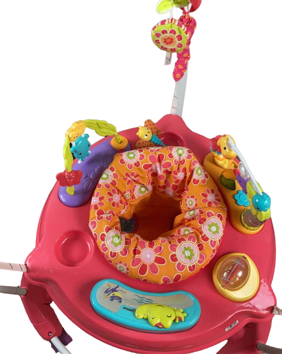 Shop Fisher Price Jumperoo Activity Center, Pink Petals at Goodbuygears