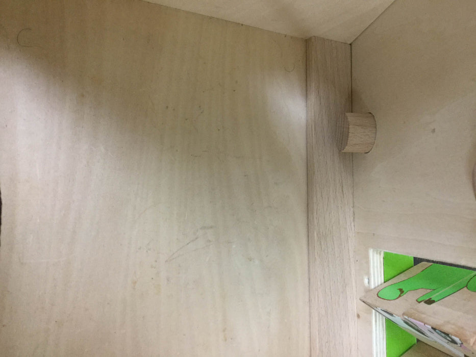 used EverEarth Activity Walker