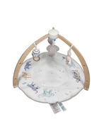 Shop Aden + Anais Play + Discover Baby Activity Gym, Rising Star at Goodbuygears
