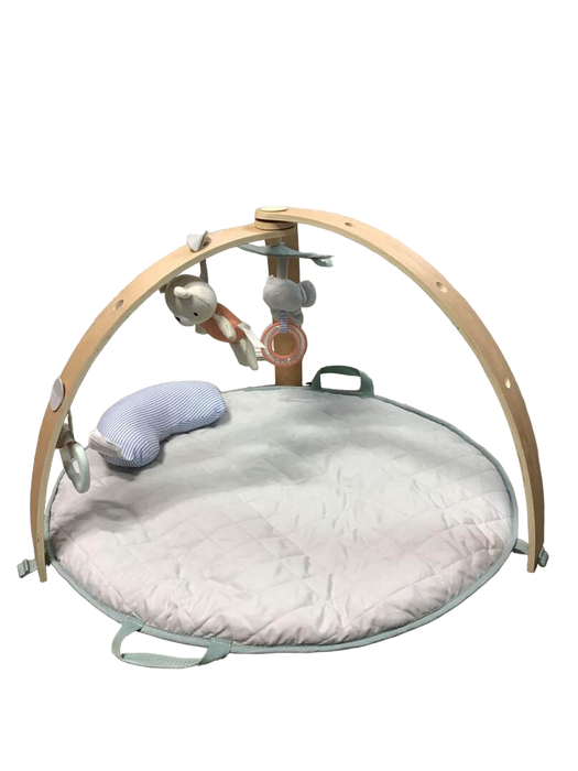 Shop Ingenuity Cozy Spot Reversible Activity Gym, Loamy at Goodbuygears