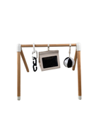 Shop Lalo The Play Gym, Sage at Goodbuygears