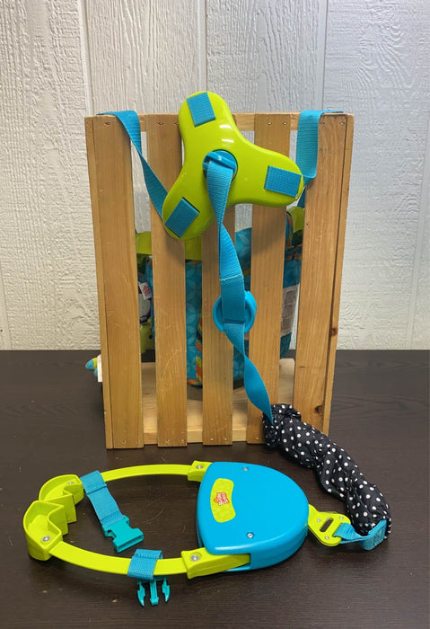secondhand Bright Starts Doorway Jumper, Zig Zag Zebra