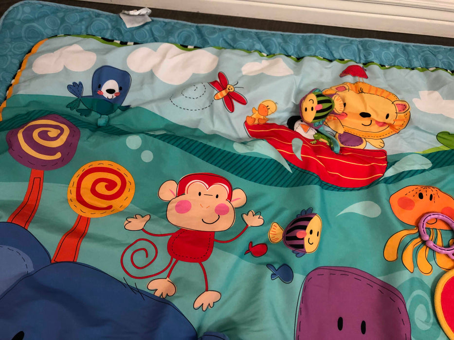 used Gyms Playmats