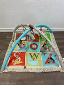 used Skip Hop Activity Gym/ Playmat