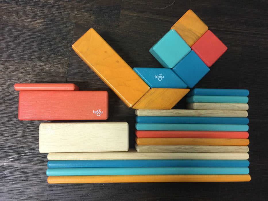 secondhand Tegu Magnetic Wood Blocks