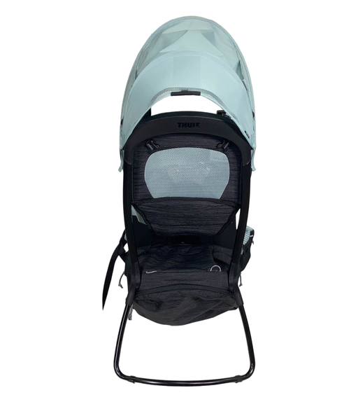 Shop Thule Sapling Child Carrier, Black at Goodbuygears