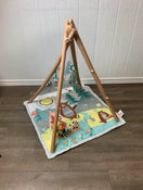 Shop Skip Hop Camping Cubs Activity Gym at Goodbuygears