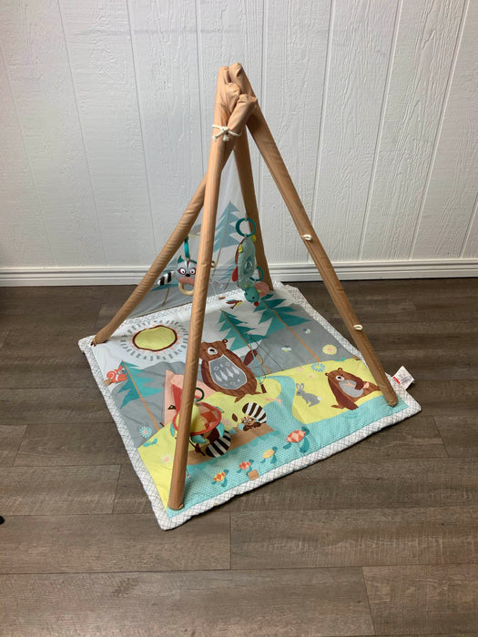 Shop Skip Hop Camping Cubs Activity Gym at Goodbuygears