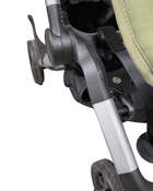 Shop Colugo Compact Stroller, 2023, Olive at Goodbuygears