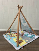used Skip Hop Camping Cubs Activity Gym
