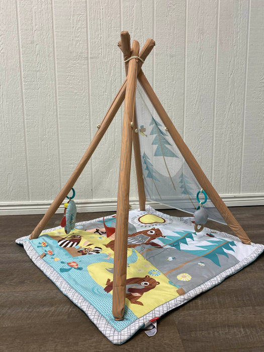used Skip Hop Camping Cubs Activity Gym