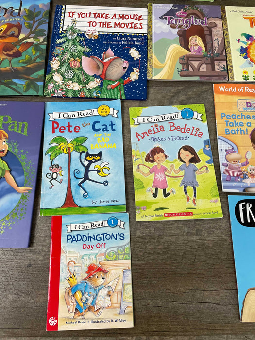 BUNDLE Books