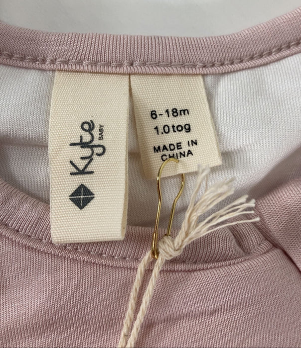 Shop Kyte Baby Sleep Bag, Medium(18-30 pounds), Blush at Goodbuygears