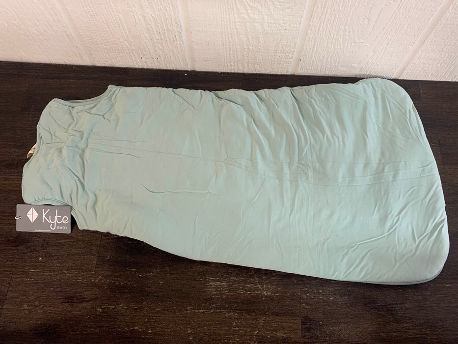 Shop Kyte Baby Sleep Bag, Small( 14-20 pounds), Sage at Goodbuygears