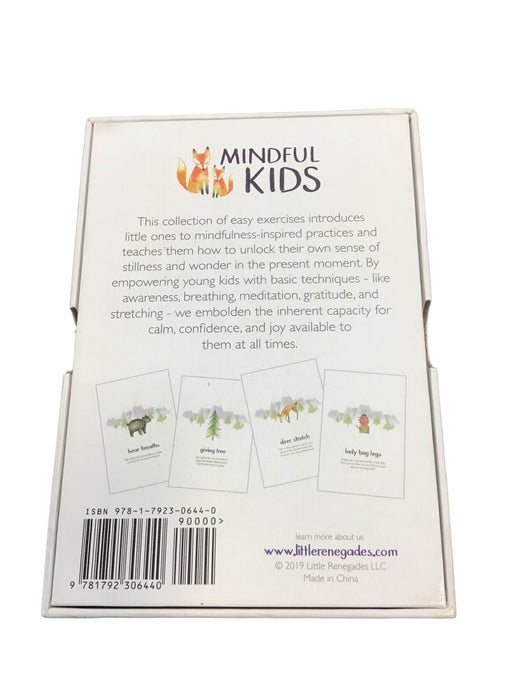 Shop Little Renegades Mindful Kids Cards at Goodbuygears