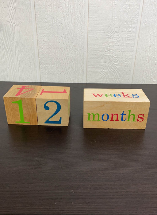 Shop BB Blocks Baby Age Photo Blocks at Goodbuygears