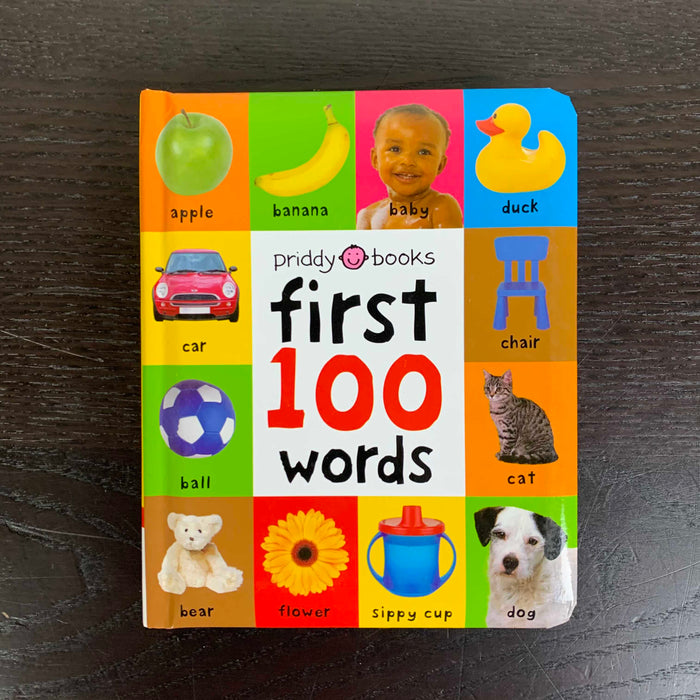secondhand Roger Priddy First 100 Words Book