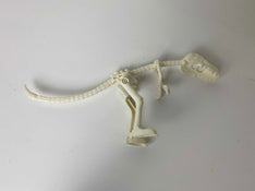 secondhand Dinosaur Skeleton