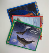 Shop BUNDLE Puzzles at Goodbuygears