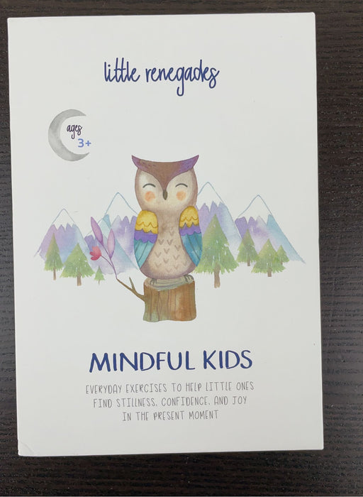 used Little Renegades Mindful Kids Cards