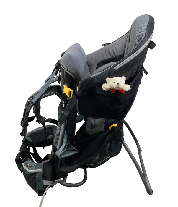 Shop Deuter Kid Comfort 3 Hiking Backpack at Goodbuygears