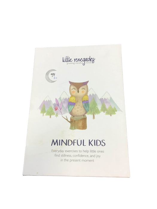 Shop Little Renegades Mindful Kids Cards at Goodbuygears