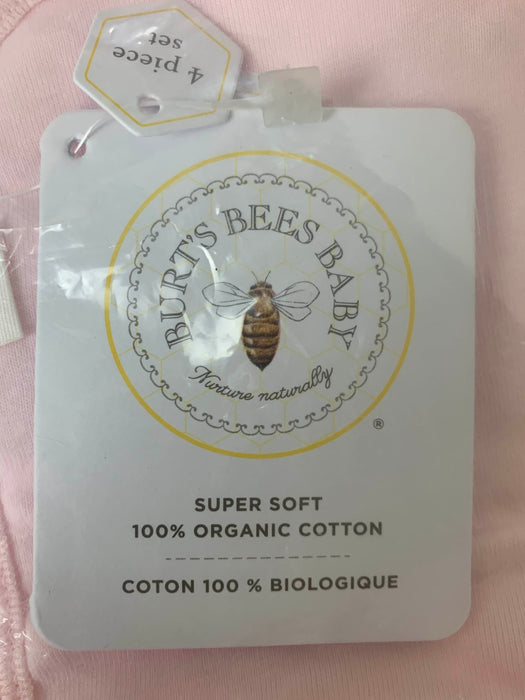Shop Burt’s Bees Baby Bibs, 4-Pack Lap-Shoulder Drool Cloths, Blossom at Goodbuygears