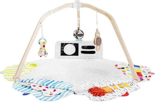 Shop Lovevery The Play Gym at Goodbuygears