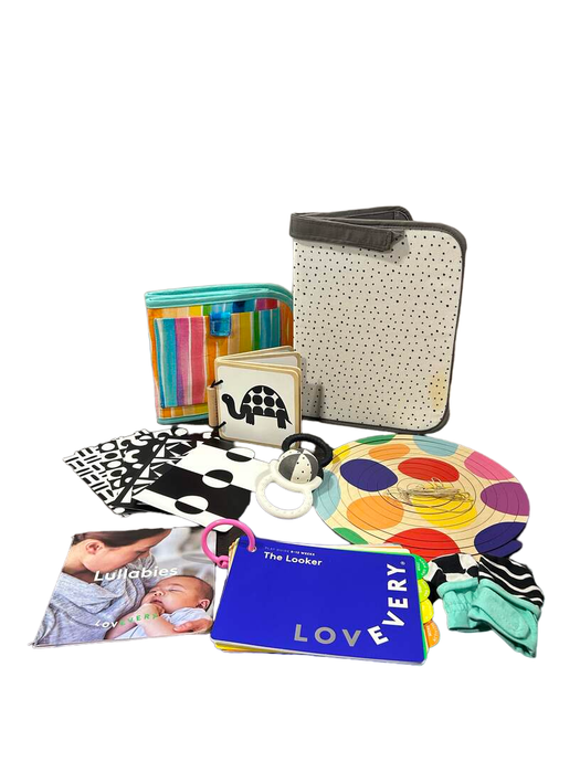 Shop Lovevery The Looker Play Kit at Goodbuygears