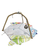 Shop Lovevery The Play Gym at Goodbuygears