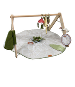Shop Tiny Love Boho Chic Luxe Developmental Gymini at Goodbuygears