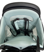 Shop Thule Sapling Child Carrier, Black at Goodbuygears