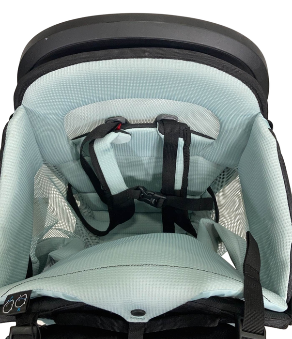 Shop Thule Sapling Child Carrier, Black at Goodbuygears