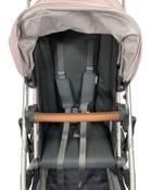 Shop UPPAbaby CRUZ V2 Stroller, Alice (Dusty Pink), 2020 at Goodbuygears