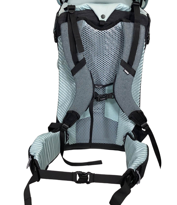 Shop Thule Sapling Child Carrier, Black at Goodbuygears