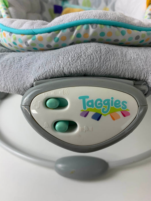 used Taggies Soft N Snug Bouncer