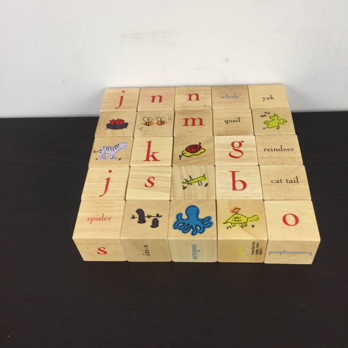 used Pottery Barn Kids Alphabet Blocks