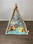 Shop Skip Hop Camping Cubs Activity Gym at Goodbuygears