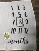 secondhand Mud Pie Monthly Milestone Blanket
