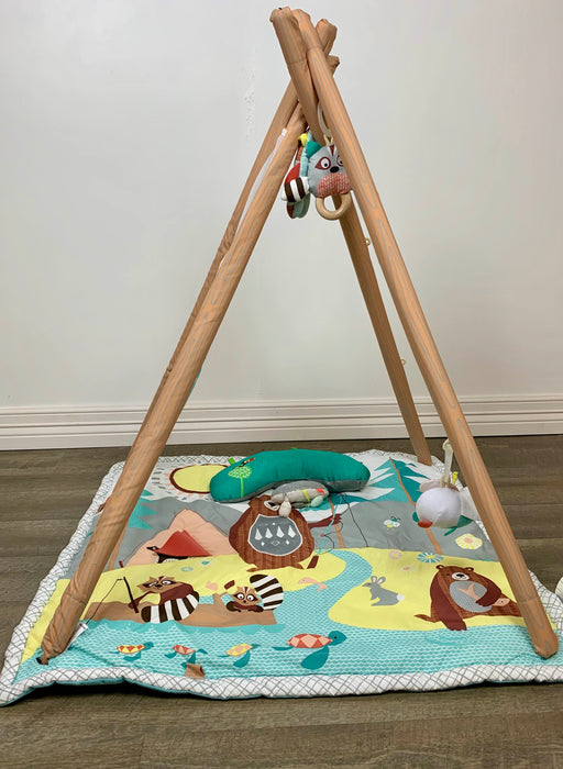 secondhand Skip Hop Activity Gym/ Playmat, Woodland Friends